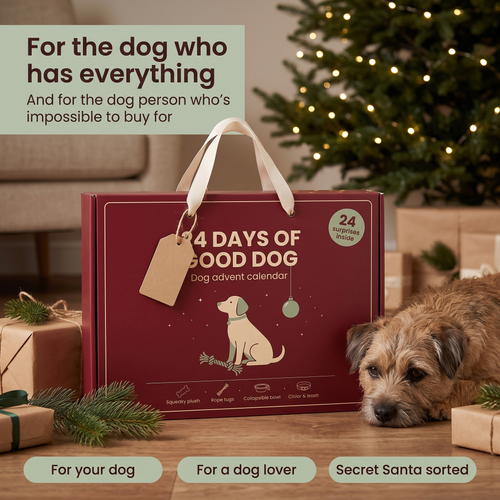 The Dog Advent Calendar — 24 Surprises, One Behind Every Door