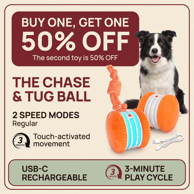 The Chase & Tug — Interactive Rolling Dog Toy