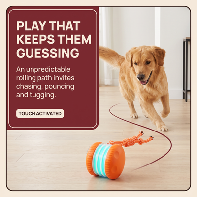 The Chase & Tug — Interactive Rolling Dog Toy