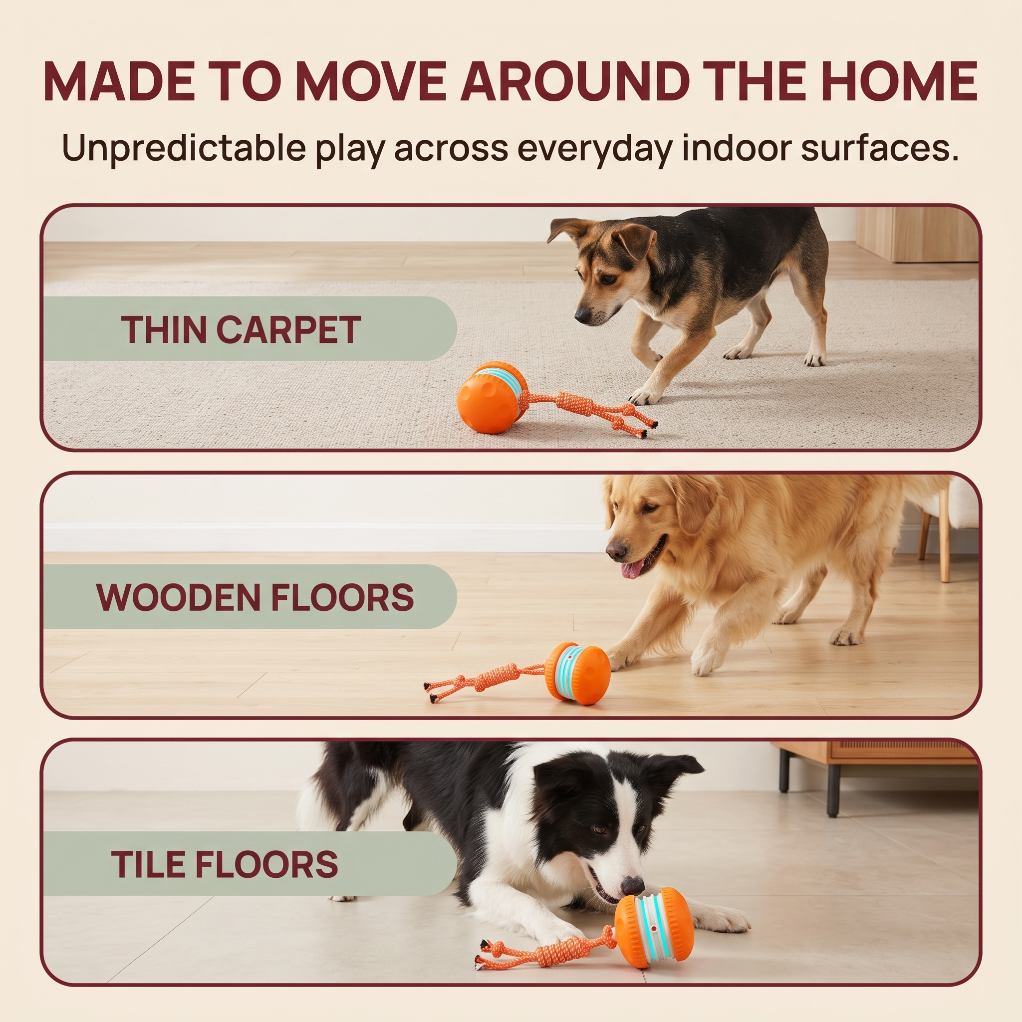 The Chase & Tug — Interactive Rolling Dog Toy