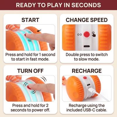 The Chase & Tug — Interactive Rolling Dog Toy