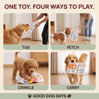 The Daily Tug — Durable Crinkle Newspaper Toy