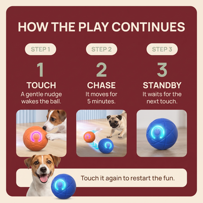 The Zoom Ball — Interactive Bouncing Dog Toy