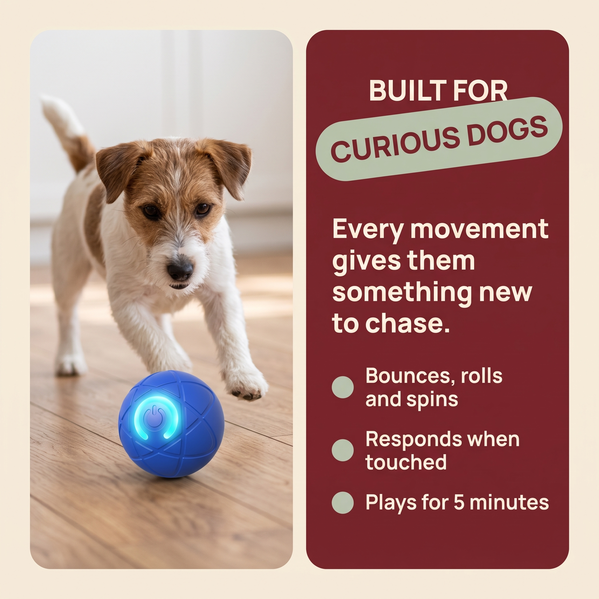 The Zoom Ball — Interactive Bouncing Dog Toy