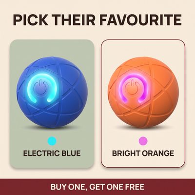 The Zoom Ball — Interactive Bouncing Dog Toy
