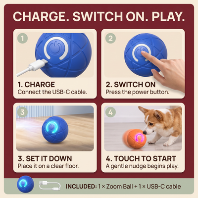 The Zoom Ball — Interactive Bouncing Dog Toy